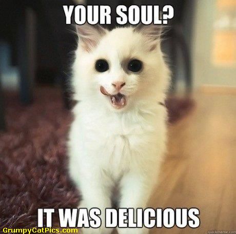 Schary---Spooky-Devil-Cat--------Devil-Kitteh---Omg-And-Its-Not-Even-Halloween---Sounds-Like-Every-C