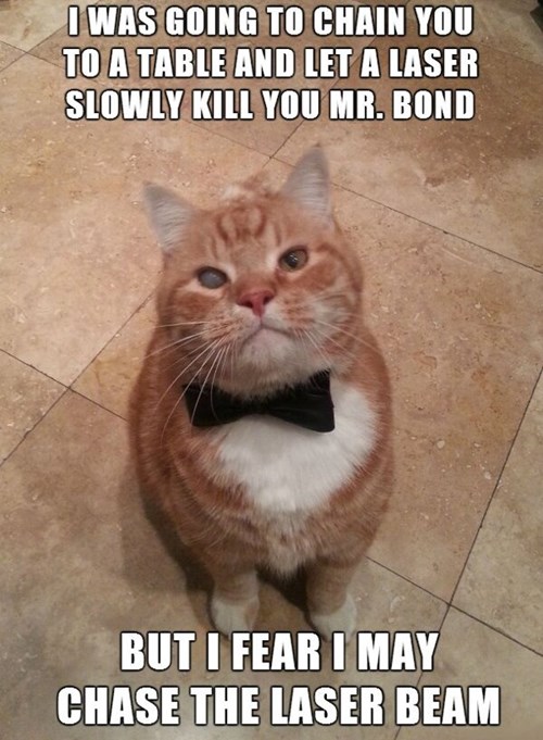 BondCat